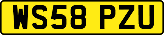 WS58PZU