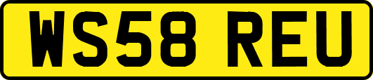 WS58REU