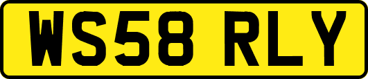 WS58RLY