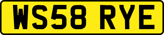 WS58RYE