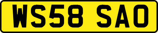 WS58SAO