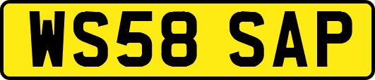 WS58SAP