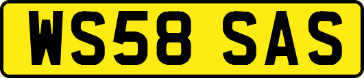 WS58SAS