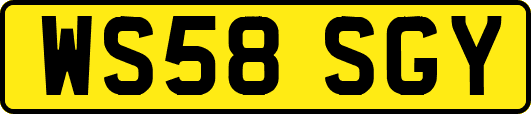 WS58SGY