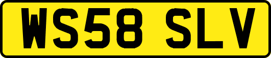 WS58SLV