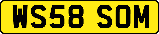 WS58SOM