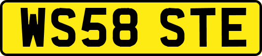 WS58STE