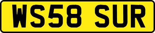 WS58SUR