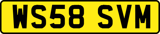 WS58SVM