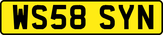WS58SYN