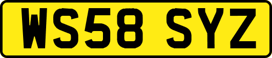 WS58SYZ