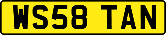 WS58TAN