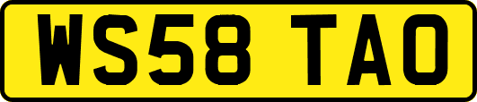 WS58TAO