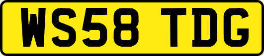 WS58TDG