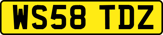 WS58TDZ