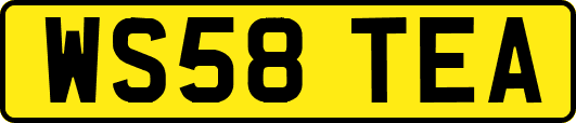 WS58TEA