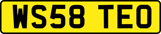 WS58TEO
