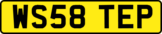 WS58TEP