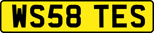 WS58TES