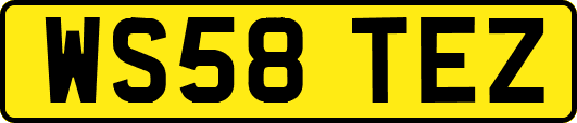 WS58TEZ