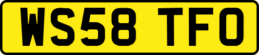 WS58TFO