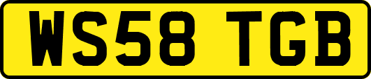 WS58TGB