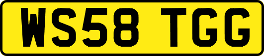 WS58TGG