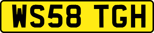 WS58TGH