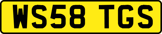 WS58TGS