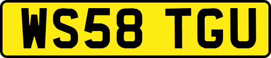 WS58TGU