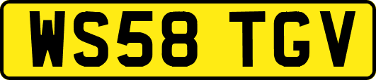 WS58TGV