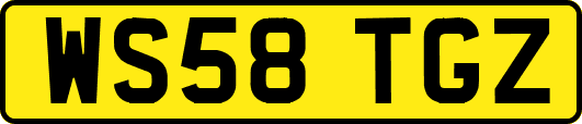 WS58TGZ