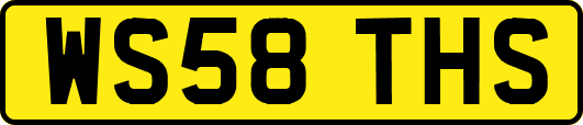 WS58THS