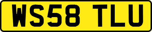 WS58TLU