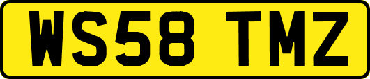 WS58TMZ
