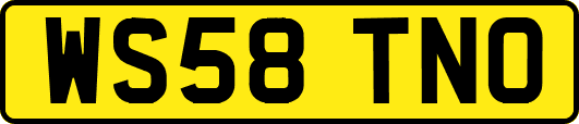 WS58TNO