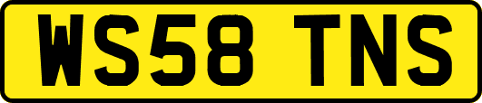 WS58TNS