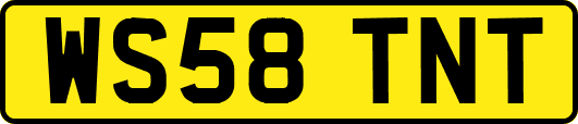 WS58TNT