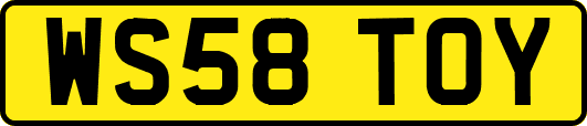 WS58TOY