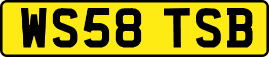 WS58TSB