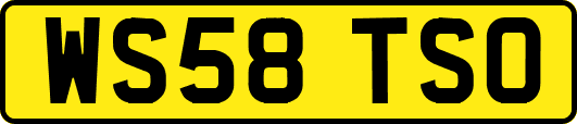 WS58TSO