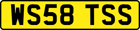 WS58TSS