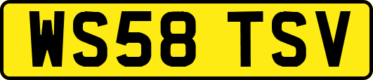 WS58TSV