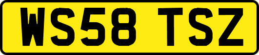 WS58TSZ