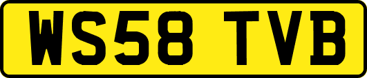 WS58TVB