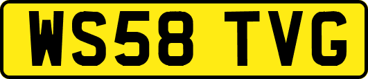 WS58TVG