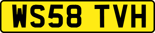 WS58TVH