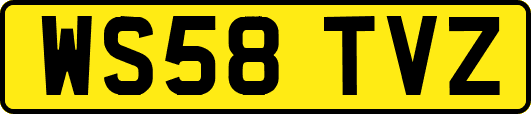 WS58TVZ