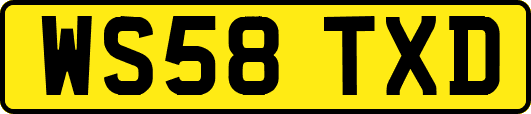 WS58TXD