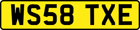 WS58TXE